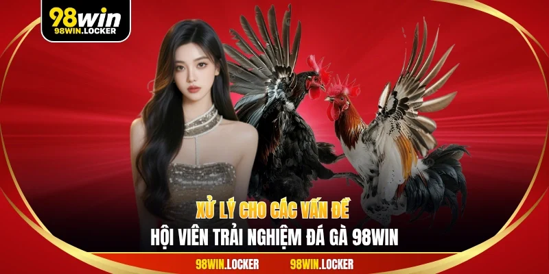 Xử lý cho các vấn đề hội viên trải nghiệm đá gà 98WIN